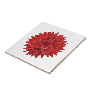 Flor Vermelho de Aquarela