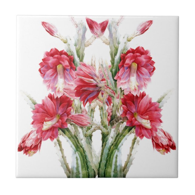 Flor Vitoriano Cactus Rosa (Frente)