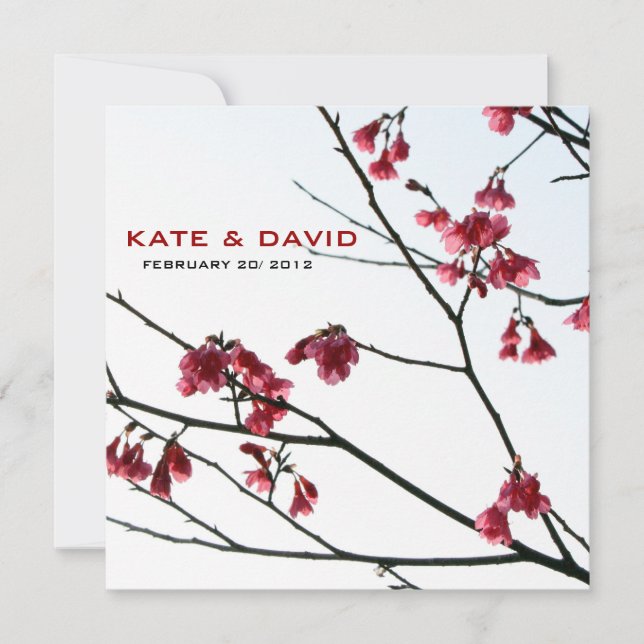 Flora All-Occasion Primavera/Oriental Zen de boas- (Frente)