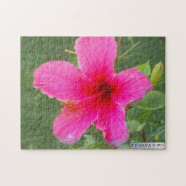 FLORA COLORIDA#6 QUEBRA-CABEÇA