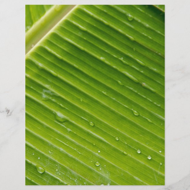 Flora Dominica 1 (Frente)