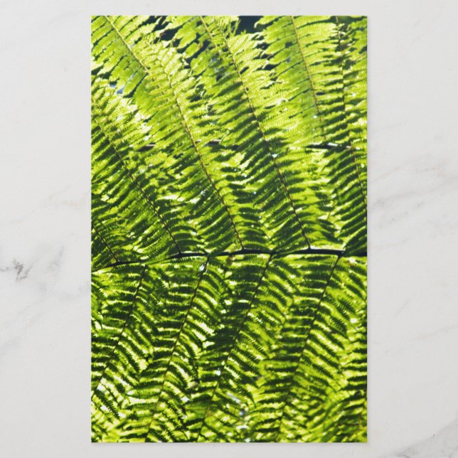 Flora Dominica 5 (Frente)