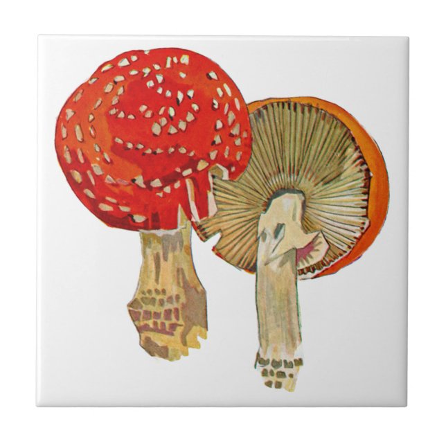 Flora Exótica nº 11 em SunshineDazzle (Frente)