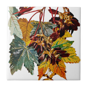 Flora Exótica nº 3 em Sunshine Dazzle