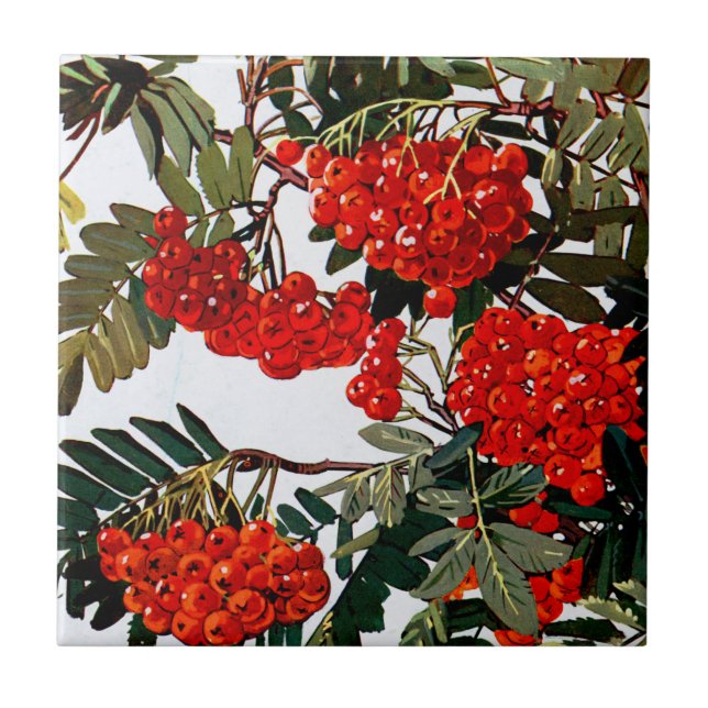 Flora Exótica nº 5 em Sunshine Dazzle (Frente)