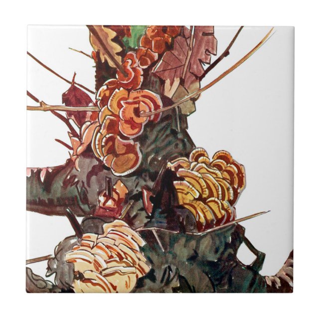 Flora Exótica nº 9 em Sunshine Dazzle (Frente)