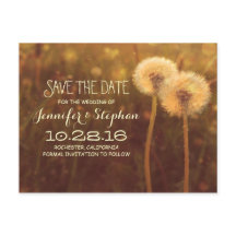 floradas românticas de dandelion salvam o cartão p