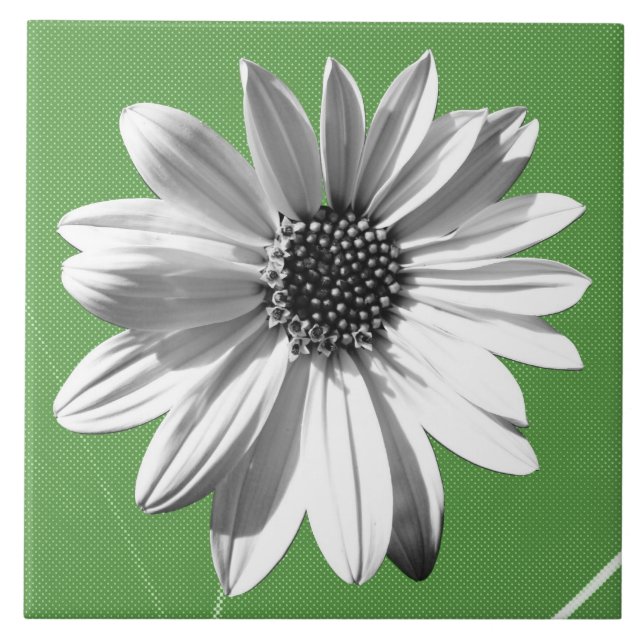 floral (Frente)