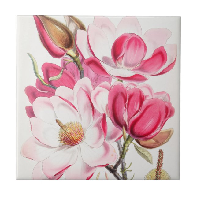 Floral (Frente)