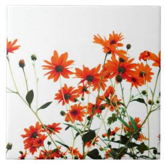 floral