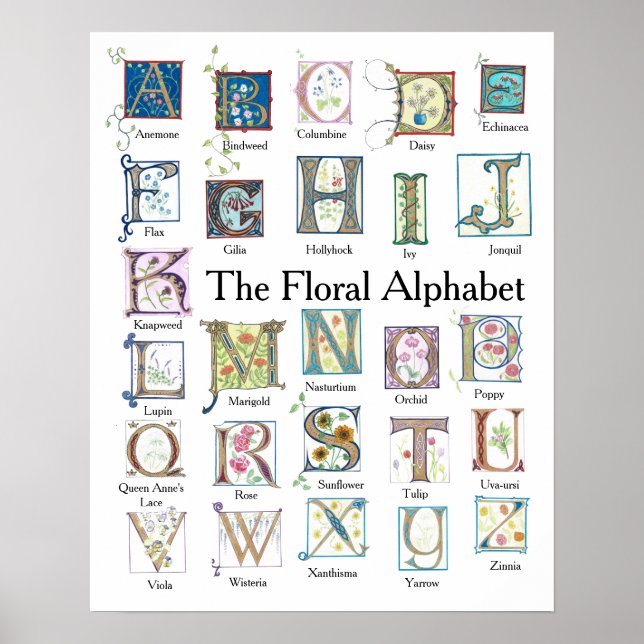Floral Alphabet Poster (Frente)