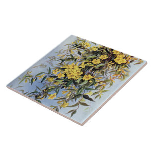Floral Amarelo Vintage Carolina Jessamine