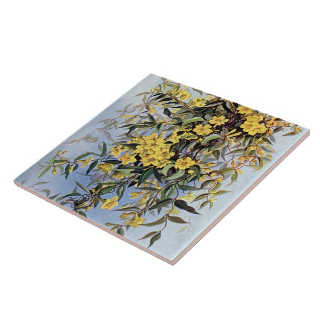 Floral Amarelo Vintage Carolina Jessamine (Lateral)