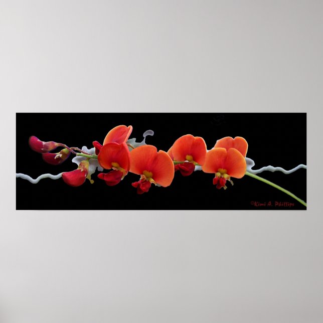 Floral Art Poster (Frente)