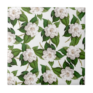 Floral Bonito