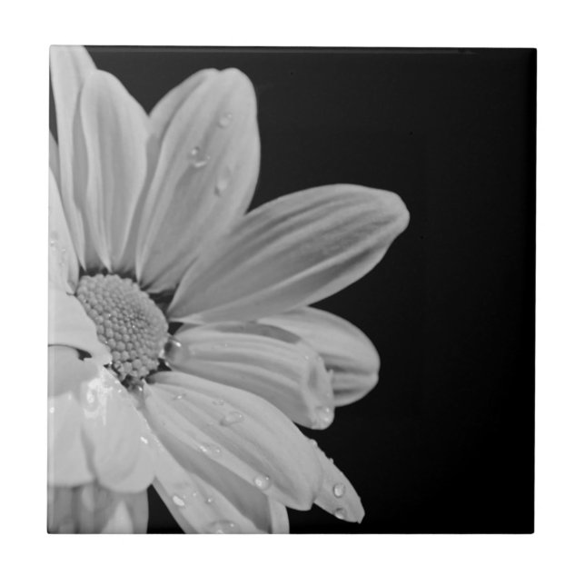 Floral calmo (Frente)