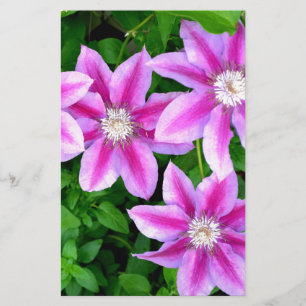 Floral cor-de-rosa elegante