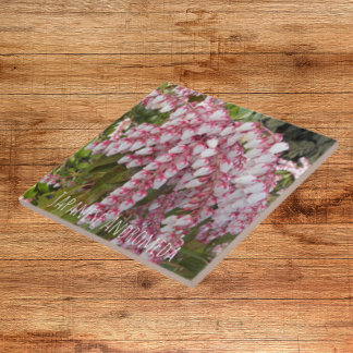 Floral da Planta Andromeda Japonesa