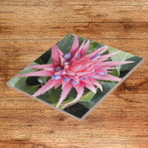 Floral de Sangue de Planta de Vaso Silver