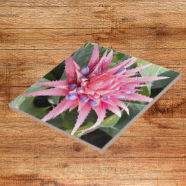 Floral de Sangue de Planta de Vaso Silver