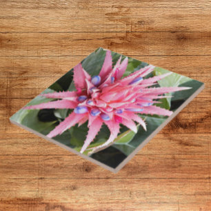 Floral de Sangue de Planta de Vaso Silver