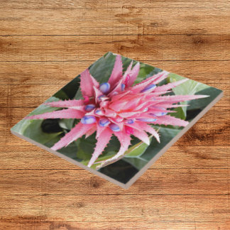 Floral de Sangue de Planta de Vaso Silver