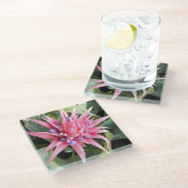 Floral de Sangue de Planta de Vaso Silver