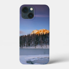 Floral Elegante Cor-de-rosa branca Olhem para o pô