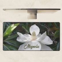 Floral Fotográfica do Flor da Magnolia Branca