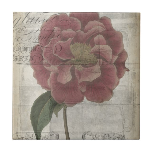 Floral III francês (Frente)