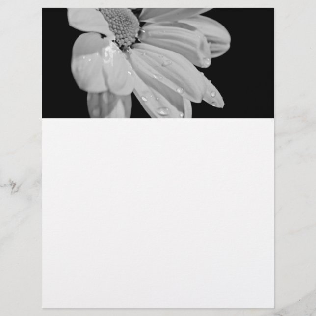 Floral Pacífica (Frente)
