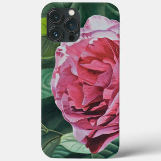 Floral Pink Peony