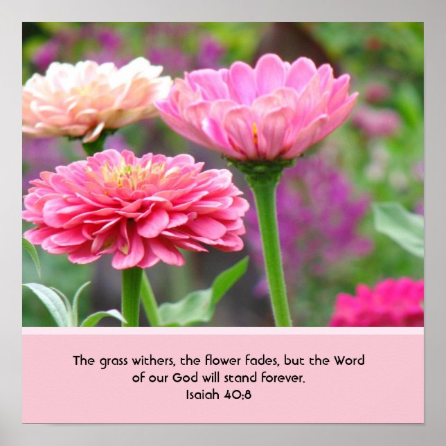 Floral Poster with Bible Verse (Frente)
