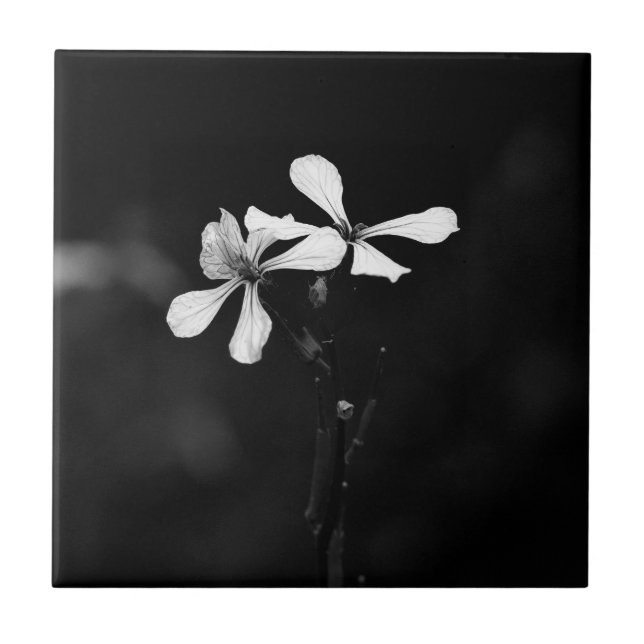 floral preto e branco minimalista (Frente)