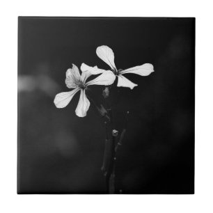floral preto e branco minimalista