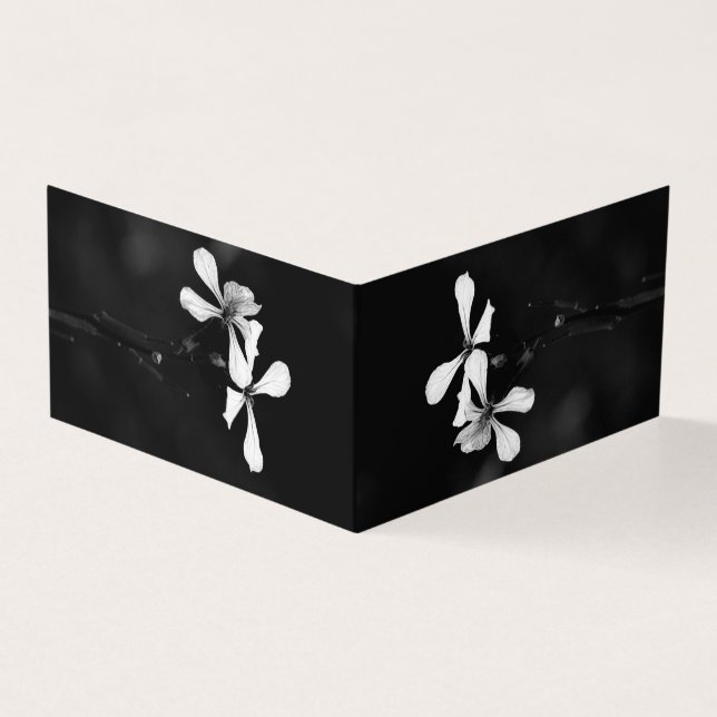 floral preto e branco mínimo (Exterior)
