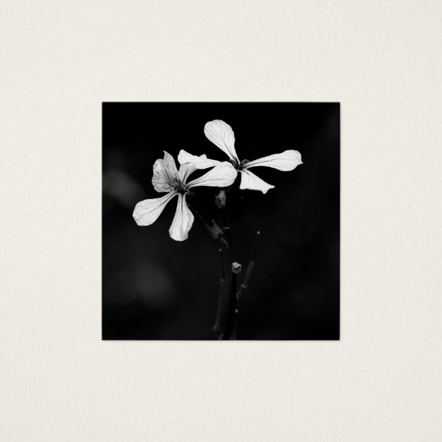 floral preto e branco mínimo (Frente)