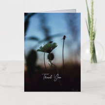 Floral Romantic Poem – Botanical Fantasy Thank You