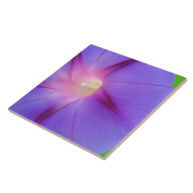 Floral Roxo  (Lateral)