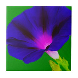 Floral Roxo-Rosa Ardente