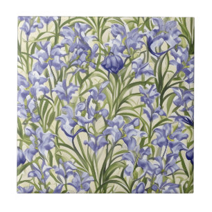 Floral sem brilho Fltern Bluebell Flowers