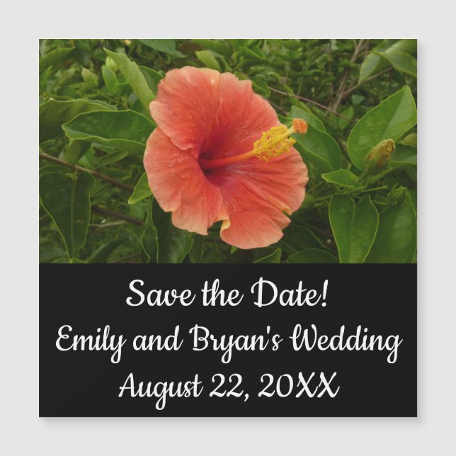 Floral Tropical de Laranja Hibiscus (Frente)