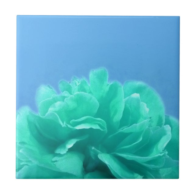 Floral Verde Azul Colorida (Frente)