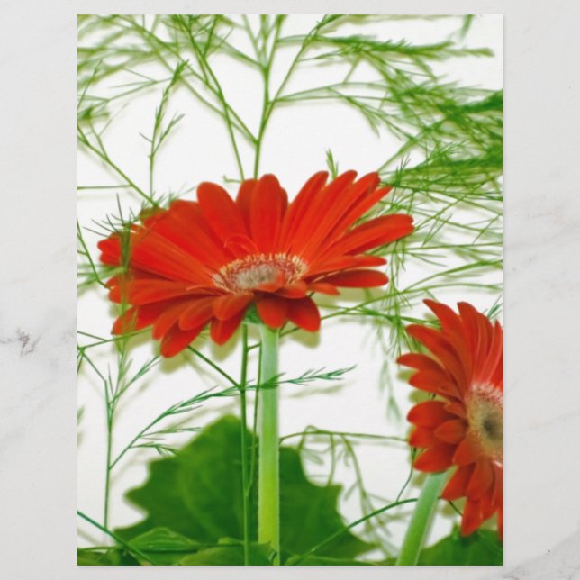 Floral vermelho (Frente)