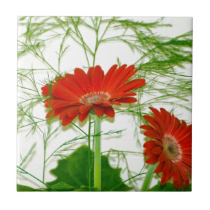 Floral Vermelho