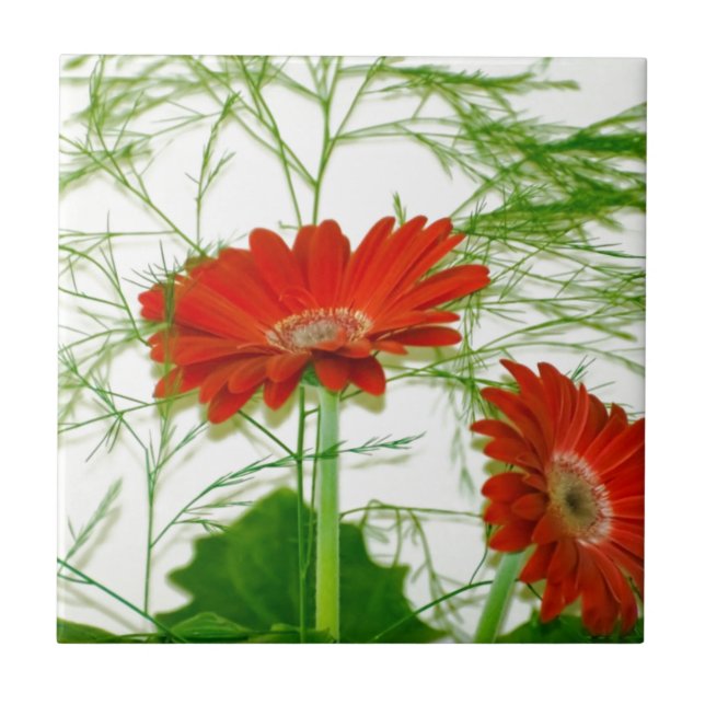 Floral Vermelho (Frente)