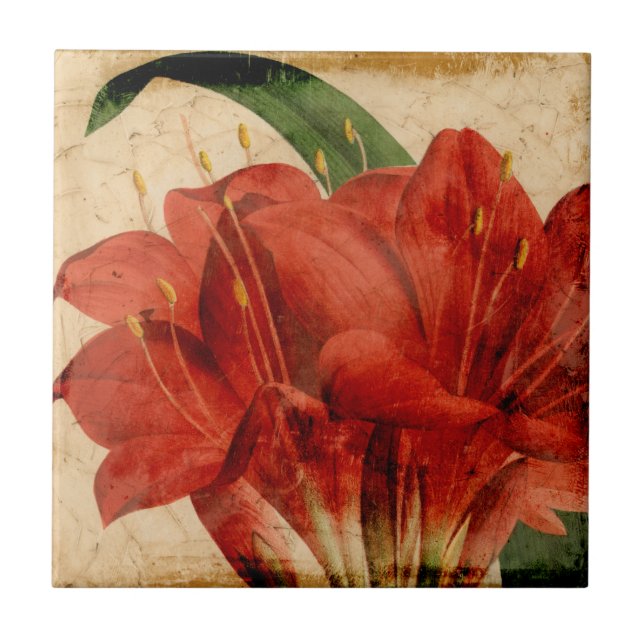 Floral VIII vibrante (Frente)