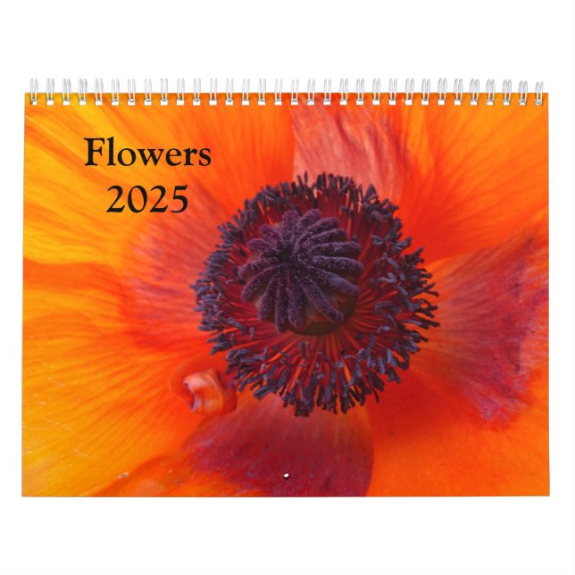 Flores 2025 a Calendário (Capa)
