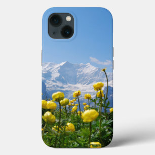 Flores Alpes suíços Eiger Monch