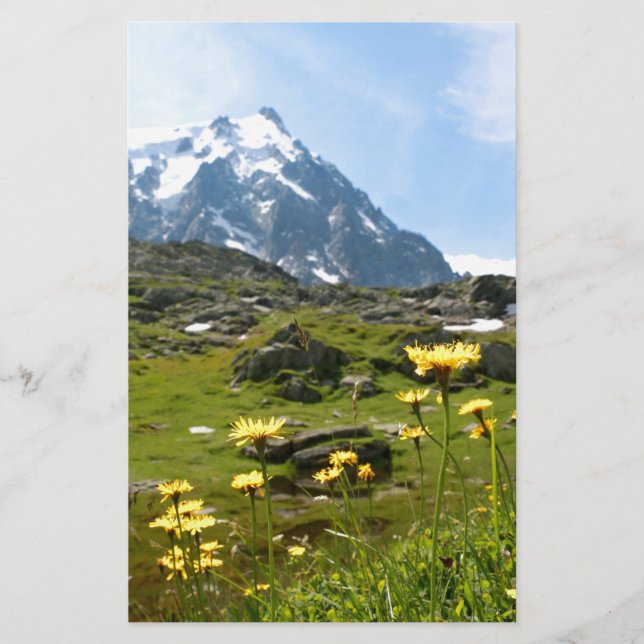 Flores alpinas - Bonita! (Frente)